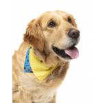 Bandana