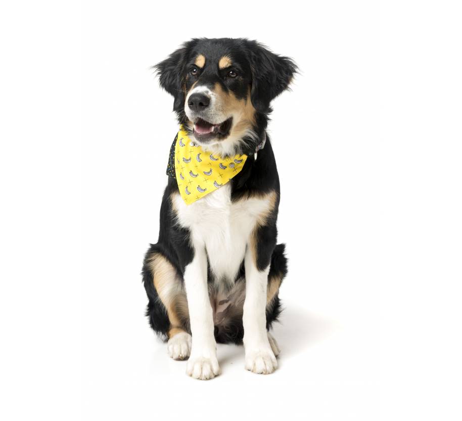Bandana