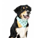 Bandana