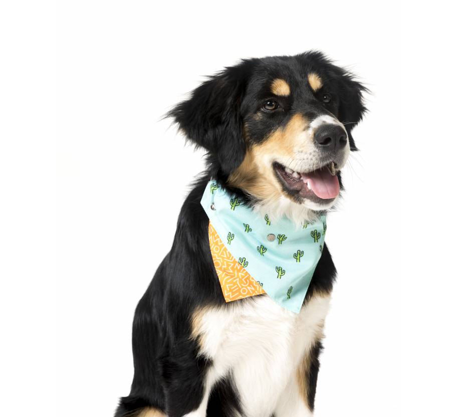 Bandana