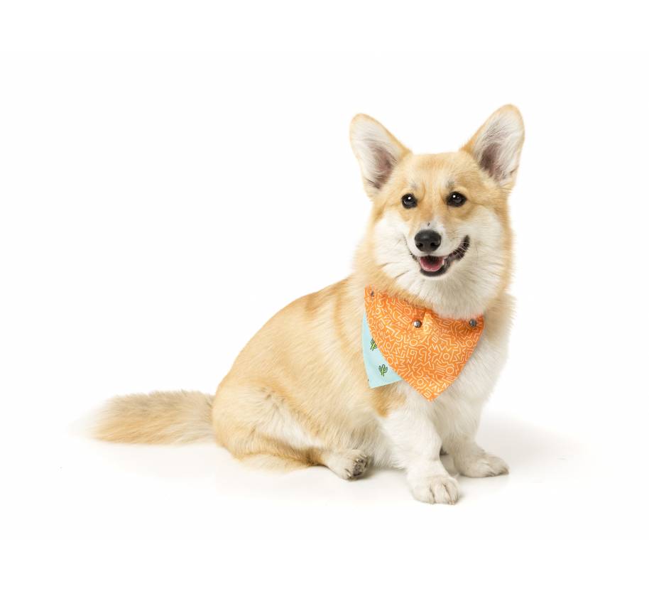 Bandana