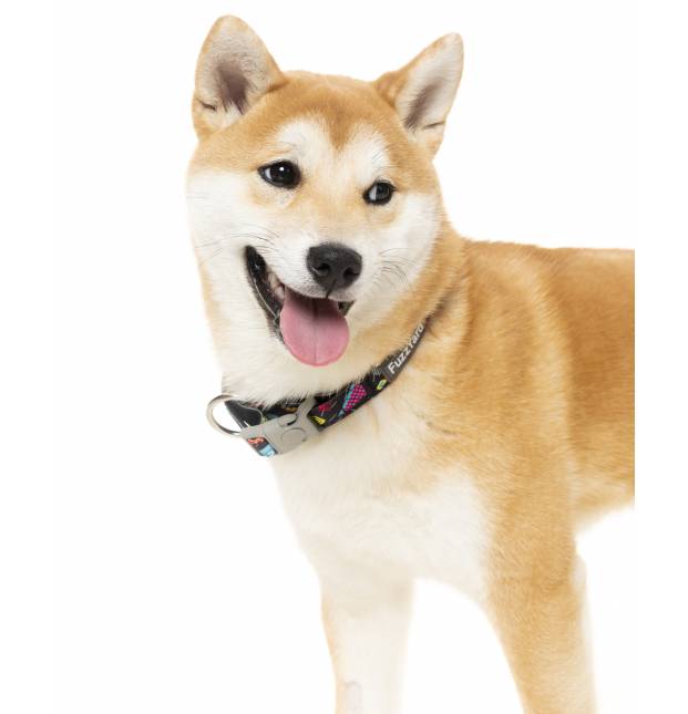 Fuzzyard Collar
