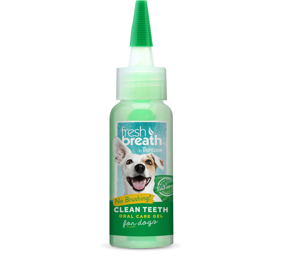 Dental Care