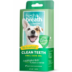 Dental Care