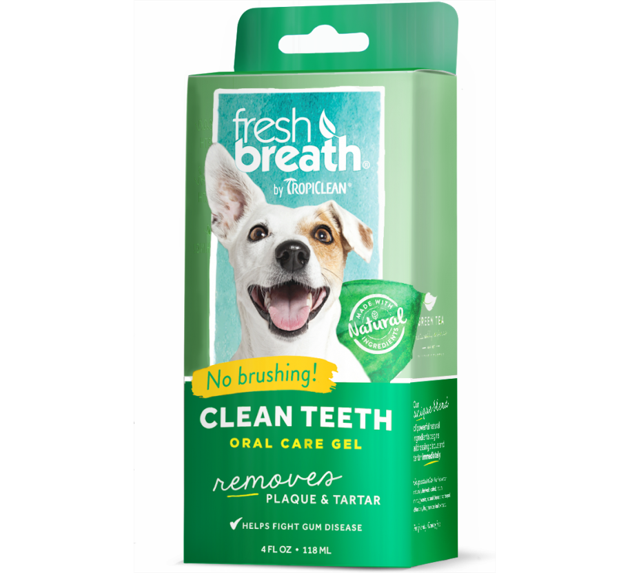 Dental Care