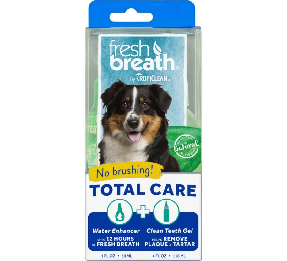 Dental Care
