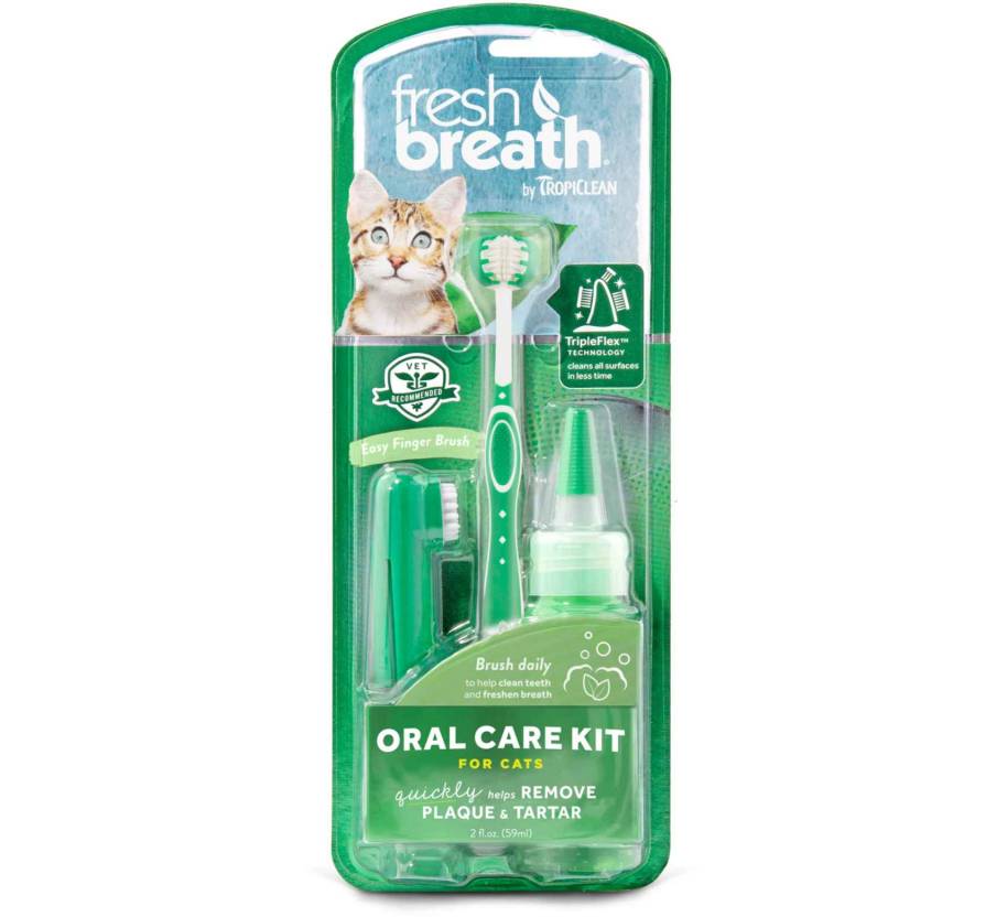 Oral Care