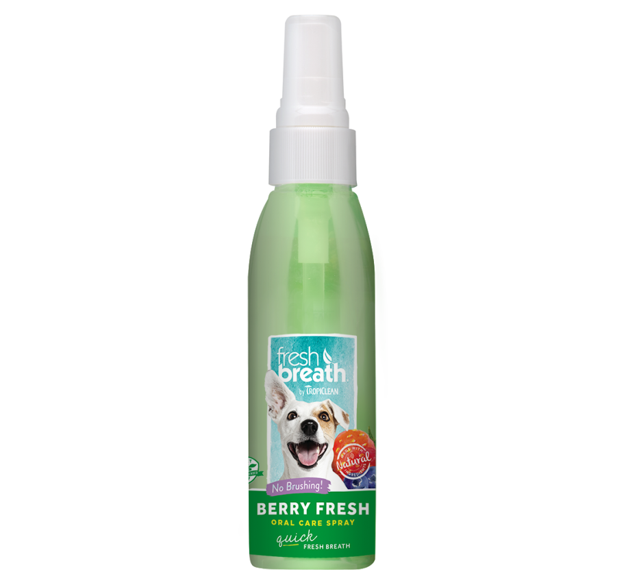 Oral Care
