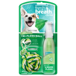 Dental Care