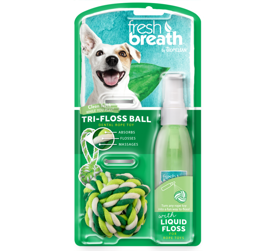 Dental Care