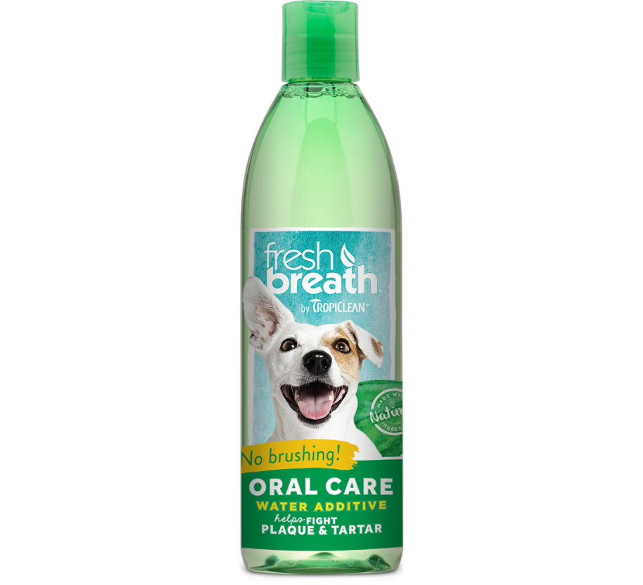 Oral Care