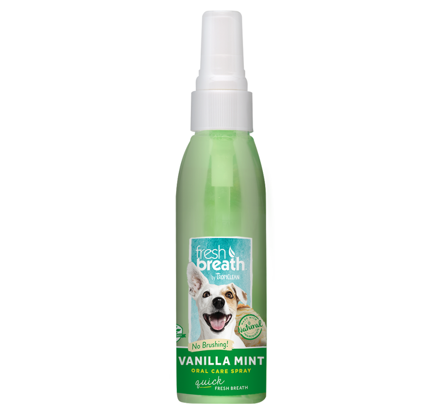 Oral Care